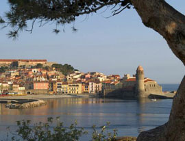 visite de collioure durant les vacances