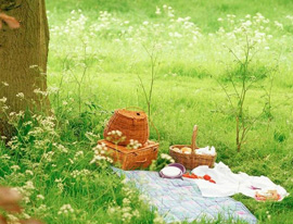 petit dejeuner produits du terroir fourni par le camping